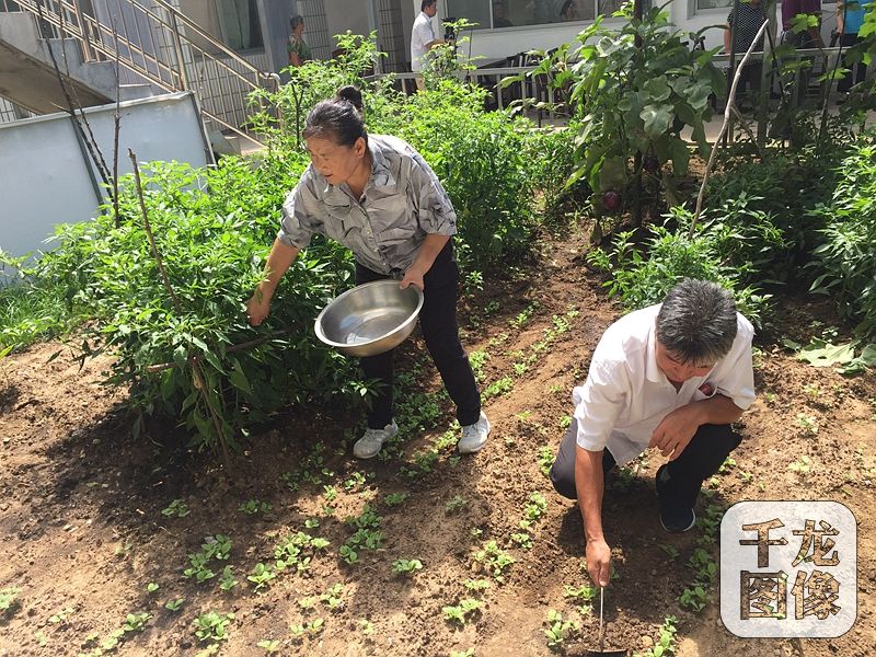 農家院的主人是57歲的村民吳賀云，三年前還是低收入戶的她，如今靠著自己的農家院和一桌桌美味的“栗子宴”，年收入達十七八萬，日子過得十分紅火。圖為吳賀云和家人在拾掇農家院里的小菜園。千龍網(wǎng)記者 薄晨棣攝