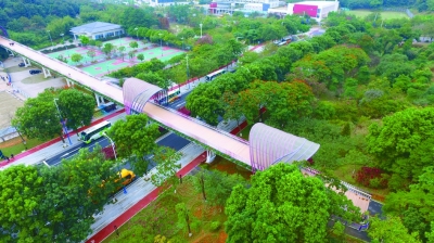 綠色是理念，更是行動