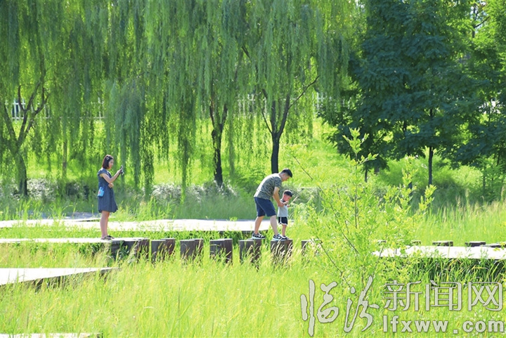大美臨汾我的家