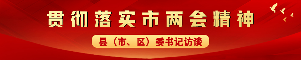 貫徹落實市兩會精神——縣（市、區）委書記訪談