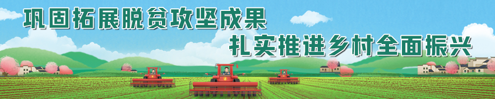 鞏固拓展脫貧攻堅成果 扎實推進鄉村全面振興