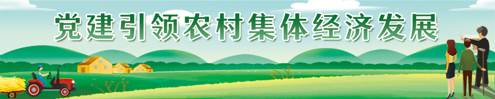 黨建引領農村集體經濟發展