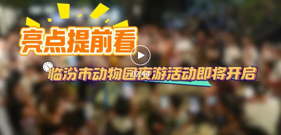 夜游來啦！一鍵解鎖臨汾市動物園新玩法