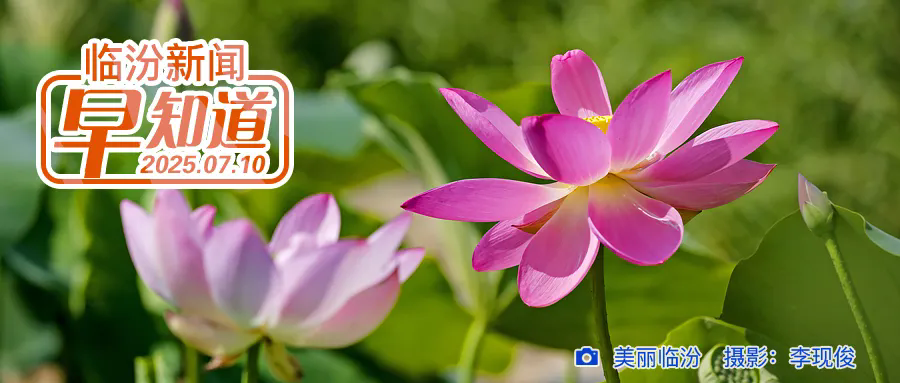 臨汾市住房公積金個人住房貸款管理實施細則（試行）/@臨汾大學生，這周末免費觀影/我市14處特崗教師筆試考點→