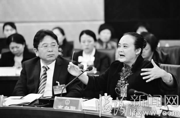 臨汾兩會(huì):踴躍發(fā)言 依法履職